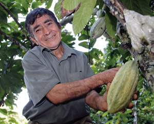 organic cacao farmer
