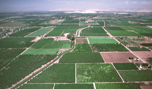 Aerial veiw of farmland