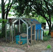 Chicken coop