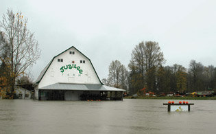 flooded barn