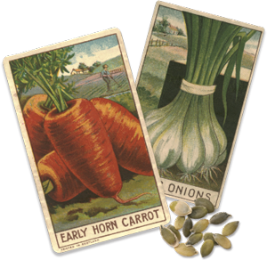 seed packets