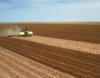 Tractor in a field