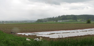 Ames Creek Farm