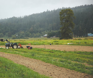 Michaeles farm