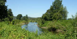 Ames Creek