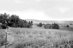 Beautfiul Bennington pasture land