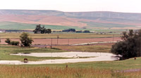 Bennington Place pasture lands