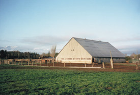 barn and field