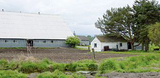 Delta Farm