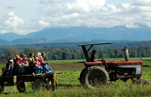 farmland