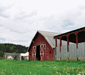 barn and field