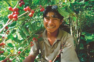 Coffee farmer