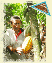 Man picking cocoa beans. Cover artwork from the February 2003 Sound Consumer