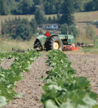 tractor in field