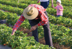 Farm Worker Pesticide Project