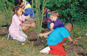 Children planting trees