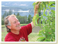 Bob Berryman, Twin Springs Farms