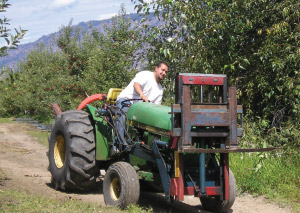 Man on tractor