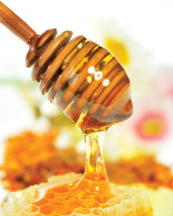 honey dripping