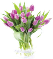 tulips