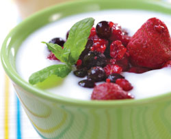 yogurt berries
