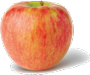 Honeycrisp apple