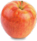 Jonagold apple