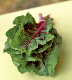 Rainbow chard