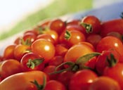 Cherry tomatoes