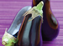 eggplant purple bkgd