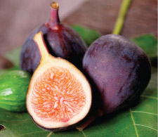 figs