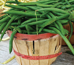 greenbeans basket