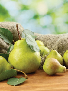 pears