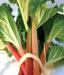 rhubarb