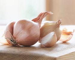 shallots closeup cuttingboard