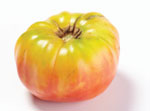 Marvel Stripe heirloom tomato