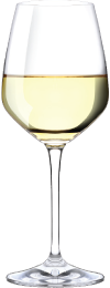 wine wine glass