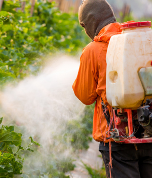 Person spraying food