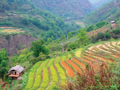 Bhutan Farm