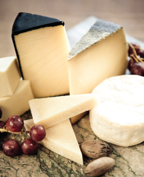 The Surprising Health Benefits of Cheese