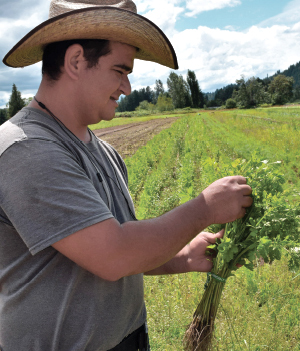 Farmer