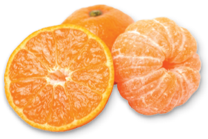 Satsuma Mandarin oranges