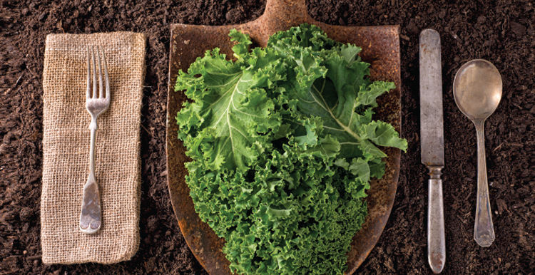 Fork on napkin, knife, spoon and shovel with kale