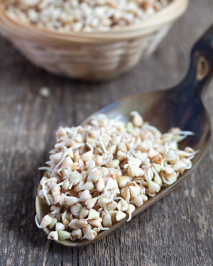 Sprouted buckwheat