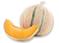 charentais melon