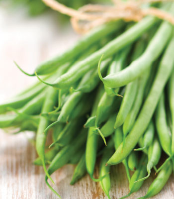 green beans in season
