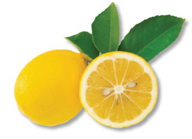 in season meyer lemons