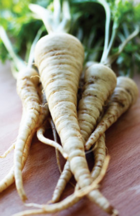 parsnips