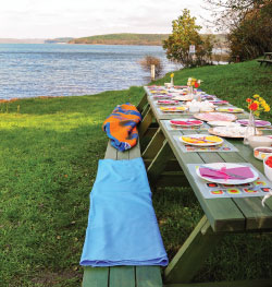 picnic table grass water