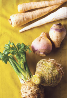 root vegetables